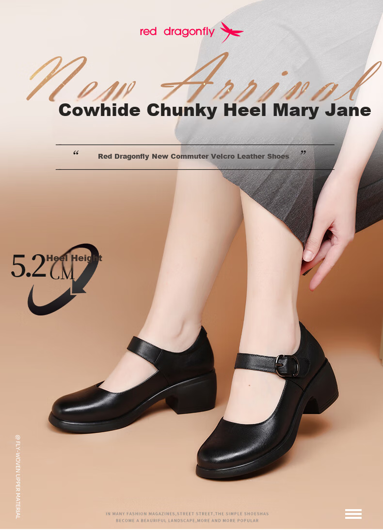 Hongqingting Women's Shoes, Chunky Heel Shallow Mouth Pumps, Round Toe Versatile Mary Jane Shoes, Retro Leather Shoes, WTB234171 1