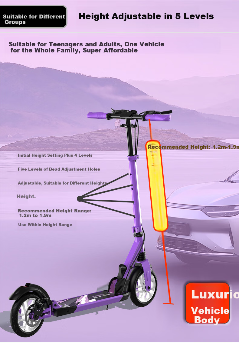 Dibailun Adult Scooter for Commuting, Ages 6-40, Two-Wheel Gunmetal Gray [Triple Brake, Dual Shock Absorption, Non-Slip White Flash Wheels] 12