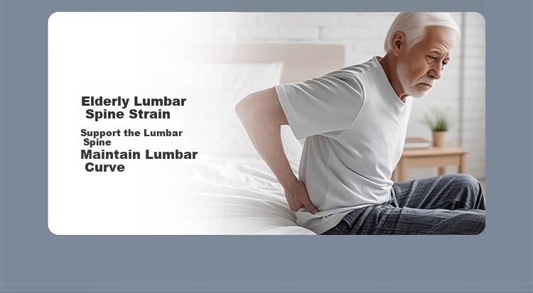 Chuangmaishi Lumbar Pillow Bed Waist Cushion Lumbar Support Lumbar Spine Sleeping Aid Waist Pad Lumbar Herniation Back Support Gray 3