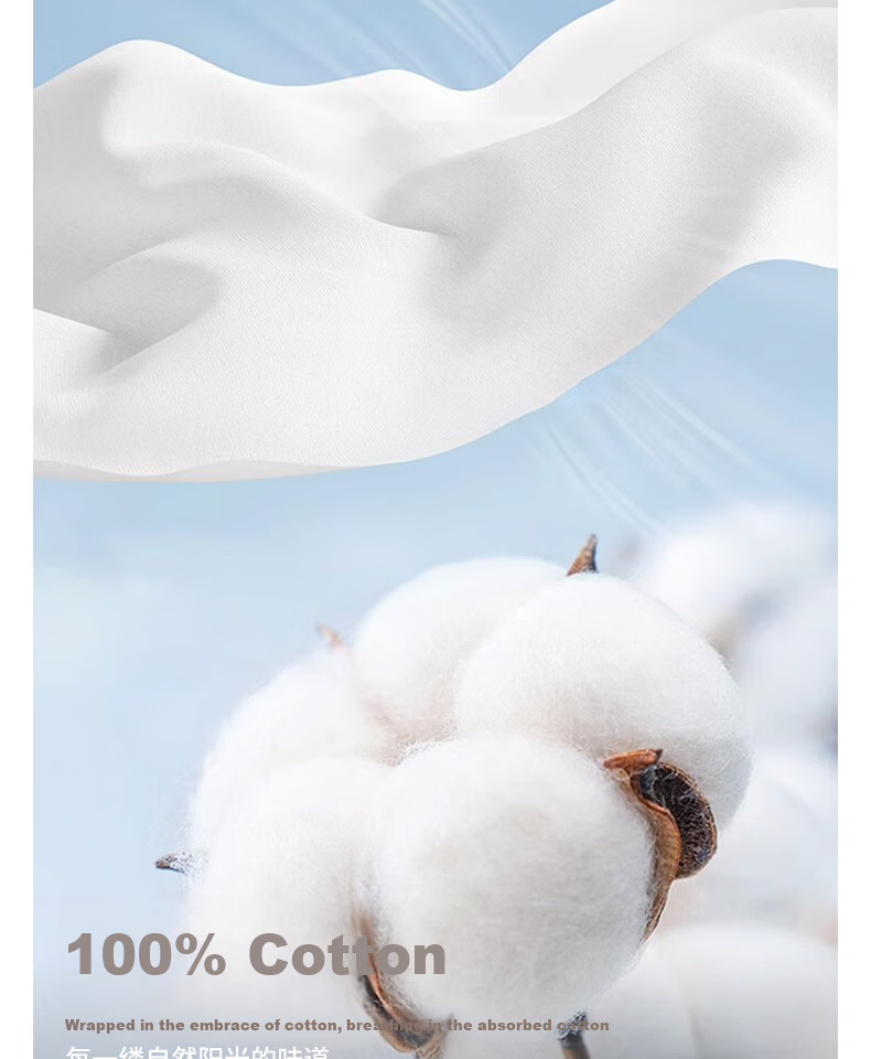 Urban Beauty White Cotton Long Sleeve T-Shirt for Women 2026 New Spring Autumn Plus Size Basic Top Spring Layering Shirt 3