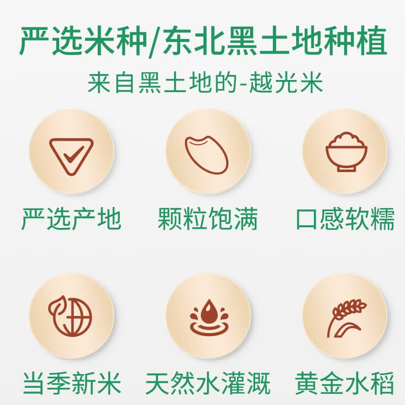 七河源越光米2.5kg 东北大米长粒米 5斤装双层包装 小长粒米 一级粳米