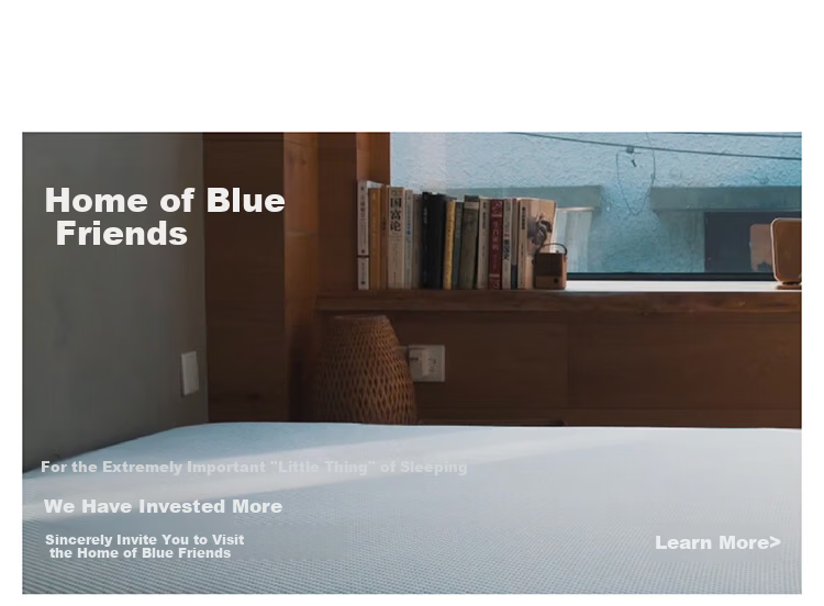 Blue Box Bare Pillowcase Four Seasons Moisture-Wicking Non-Slip Lazy Tencel Fine Denier Modal Blue 1 Piece 16