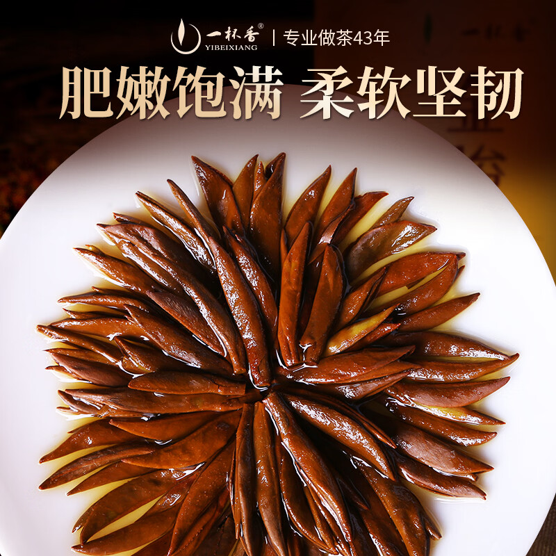 一杯香茶叶红茶金骏眉武夷山特级100g新茶礼盒装高档送礼自己喝古树