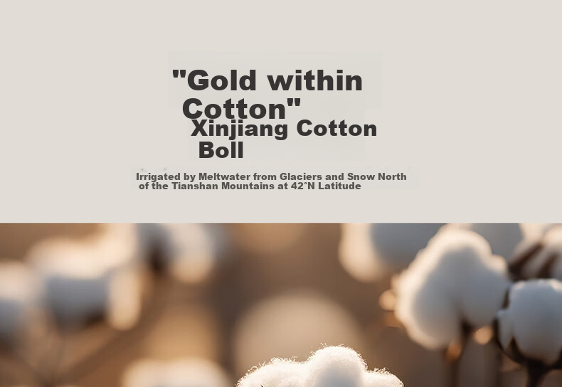 Bellees Home Textile Cotton Quilt 100% Cotton Core A-Class Antibacterial Xinjiang Cotton Four Seasons Quilt Approx. 5 Jin 220*240cm 5