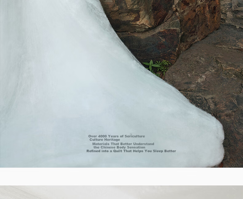 Silk Empress [Lanyu] 100% Premium Mulberry Silk Quilt Core Four Seasons Double-Layer Silk 2+4 Jin 220*240cm [White] 14