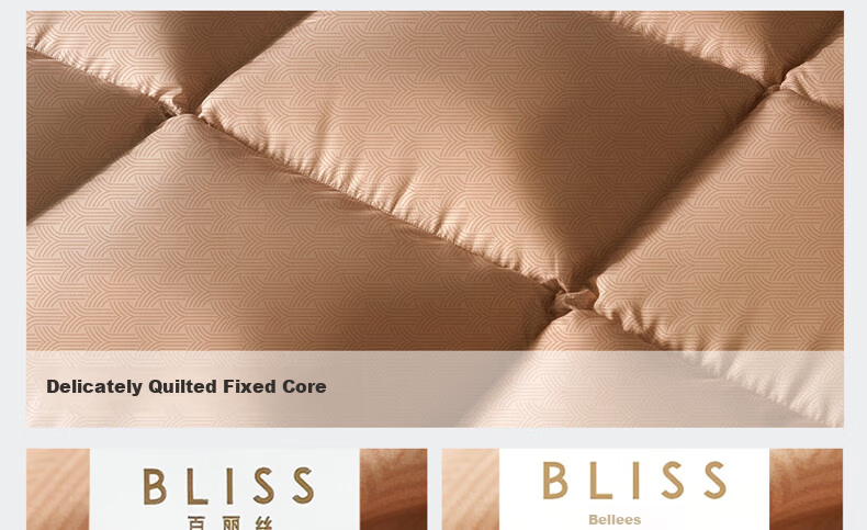 Bellees 90% Duck Down Quilt A-Grade Fabric Antibacterial Autumn Winter Warmth 1000g Filling 36