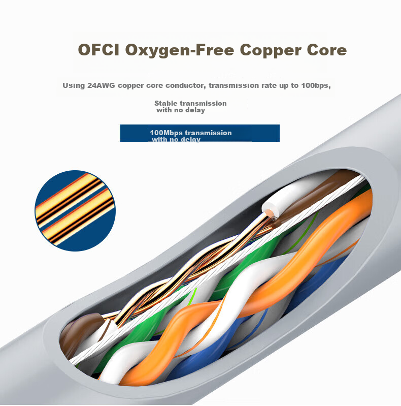 Datang Bodyguard Cat5e UTP Network Cable (Engineering Grade 0.48±0.02) Oxygen-Free Copper Core, Unshielded Twisted Pair, 305m DT2905E 4