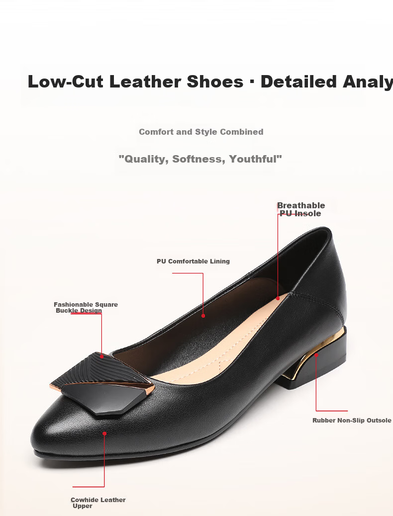 Red Dragonfly Women's Chunky Heel Single Shoes Shallow Casual British Style Small Fragrance Leather Shoes WFB233881 2