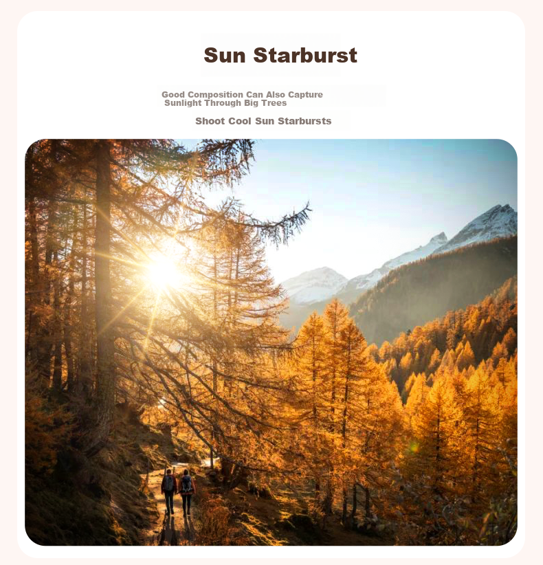 Suoying [Hot Sale 200W] Adjustable Starlight Lens 8-Line 67mm Starburst Filter for Mobile Phone Camera External Photography Tool Night Sky Jewelry Night Scene Starlight Filter 15