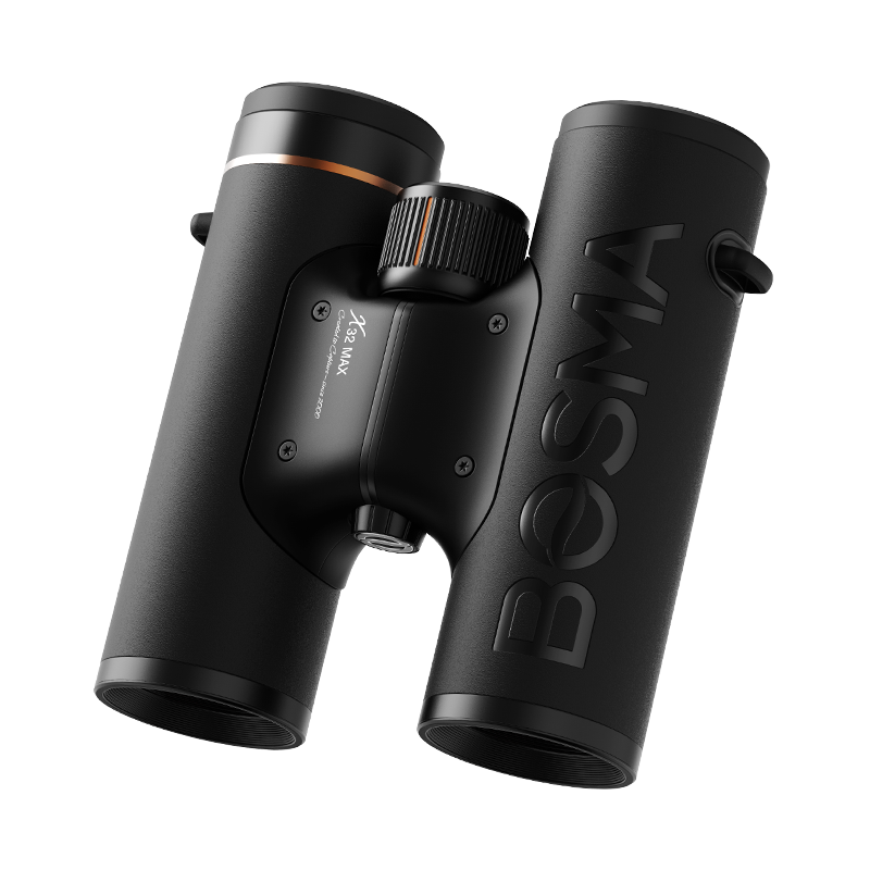 BOSMA Binoculars, Xmax 10x32 ED Lens, Lanzhi Glass, 9-Level High-Definition, Concert, Outdoor Photography Telescope
