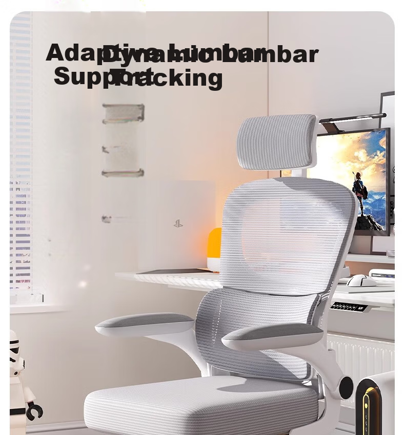Chibilun Ergonomic Computer Chair Comfortable Office Chair for Long Sitting Dormitory Student Seat with Backrest 1