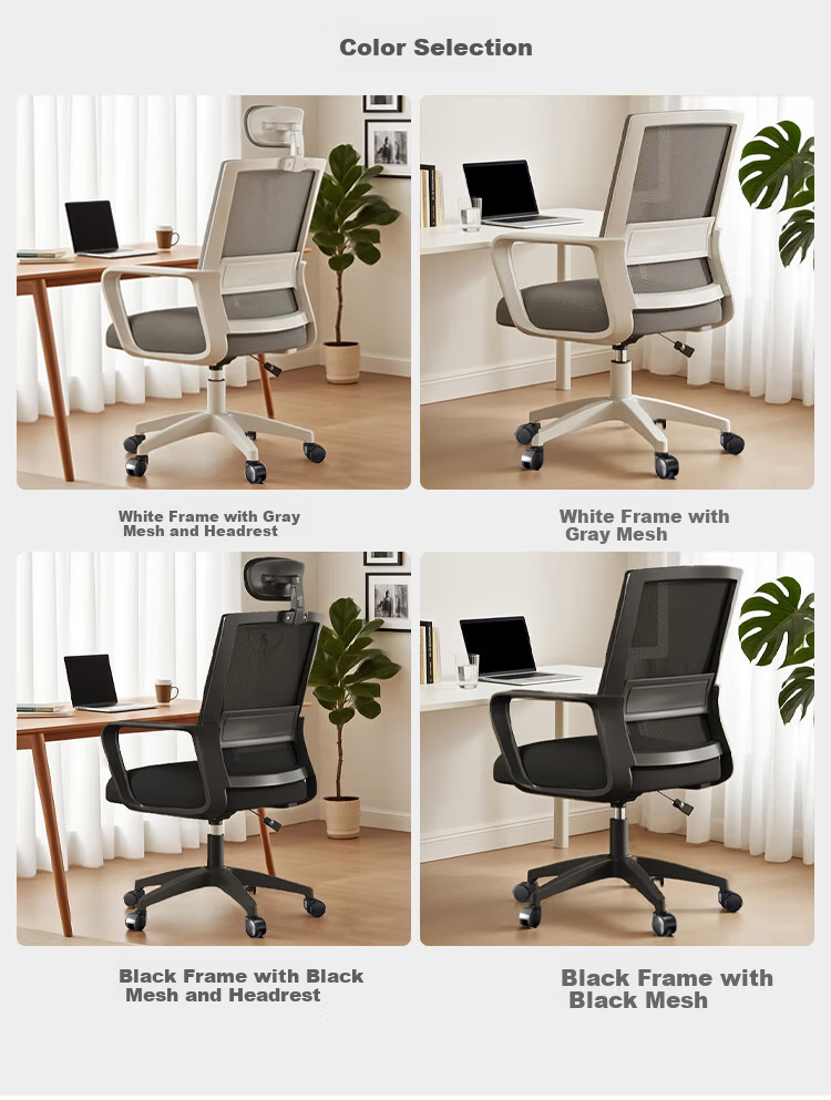 Warner New Computer Chair Comfortable Office Chair Ergonomic Backrest Study Chair for Dormitory University Students Home Use BG371 10