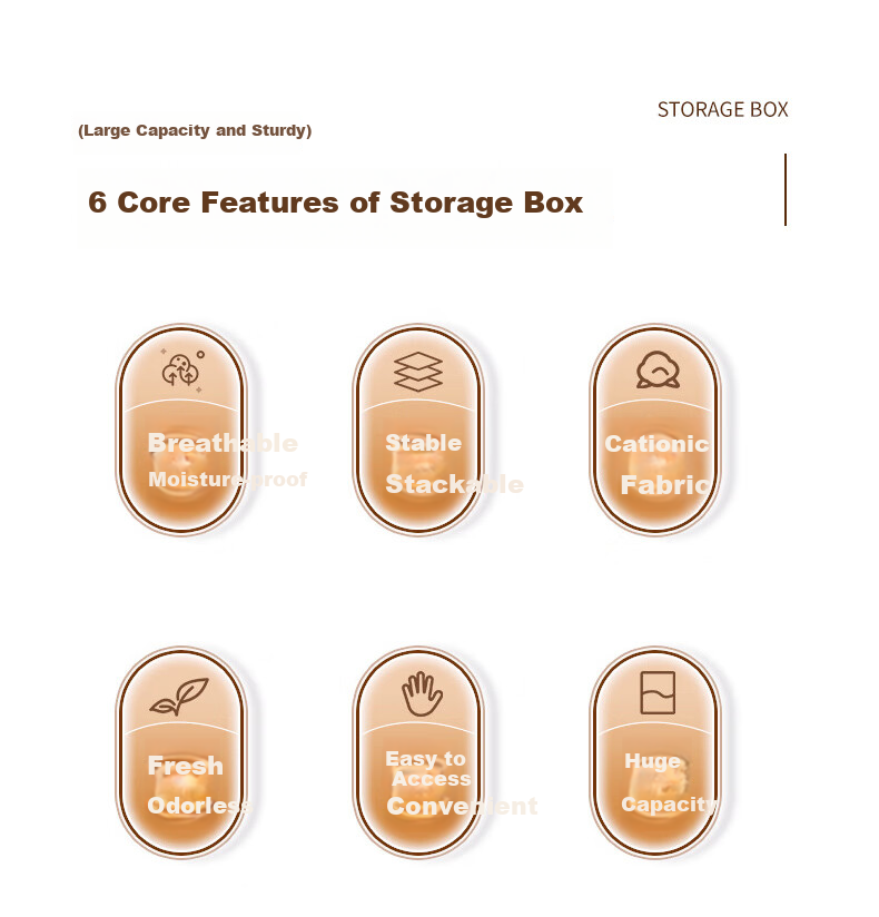 40,000 Kilometers Foldable Double-Row Divider Clothes Storage Box Underwear Drawer Dustproof Pants Organizer Box for Home 2