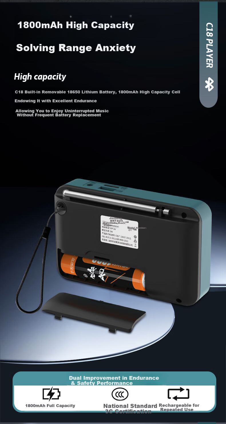 NINTAUS C38 Pure Radio, New Multi-Band Radio for Elderly, Mini Portable Small Full-Band Semiconductor Rechargeable Player, FM Tuner, Personal Radio for News 11