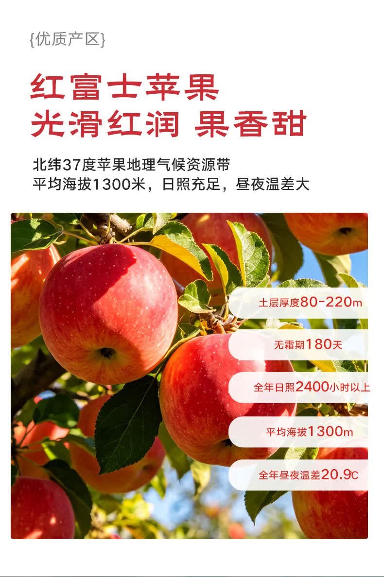 https://img30.360buyimg.com/sku/jfs/t1/425433/11/15220/172418/69f31e73Ff35e8807/00d63164a4c43c7c.jpg