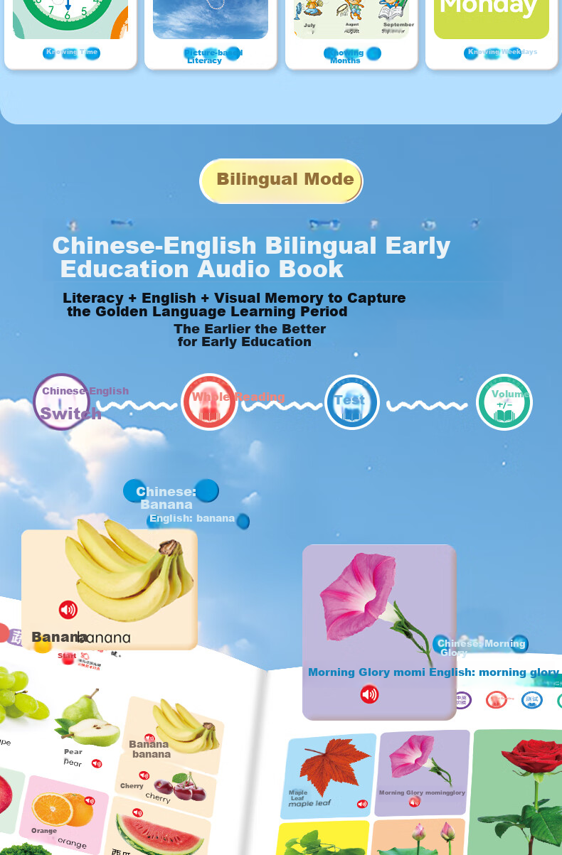 Lifang Talking Early Education Audio Book 0-9 Years Old Baby Reading Pen Sound Book Children's Birthday Gift for Boys and Girls 9