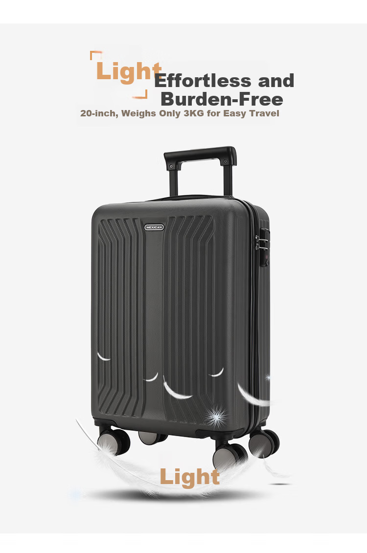 MEXICAN Luggage 24-Inch Suitcase for Men And Women, Spinner Wheels, Password Lock, Large Capacity Travel Case, Leather Suitcase, Check-In Luggage 7