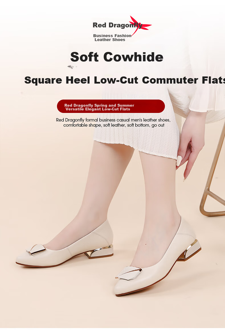Red Dragonfly Women's Chunky Heel Pointed Toe Shallow Mouth Professional Work Leather Mid Heel Pumps WFB233882 1