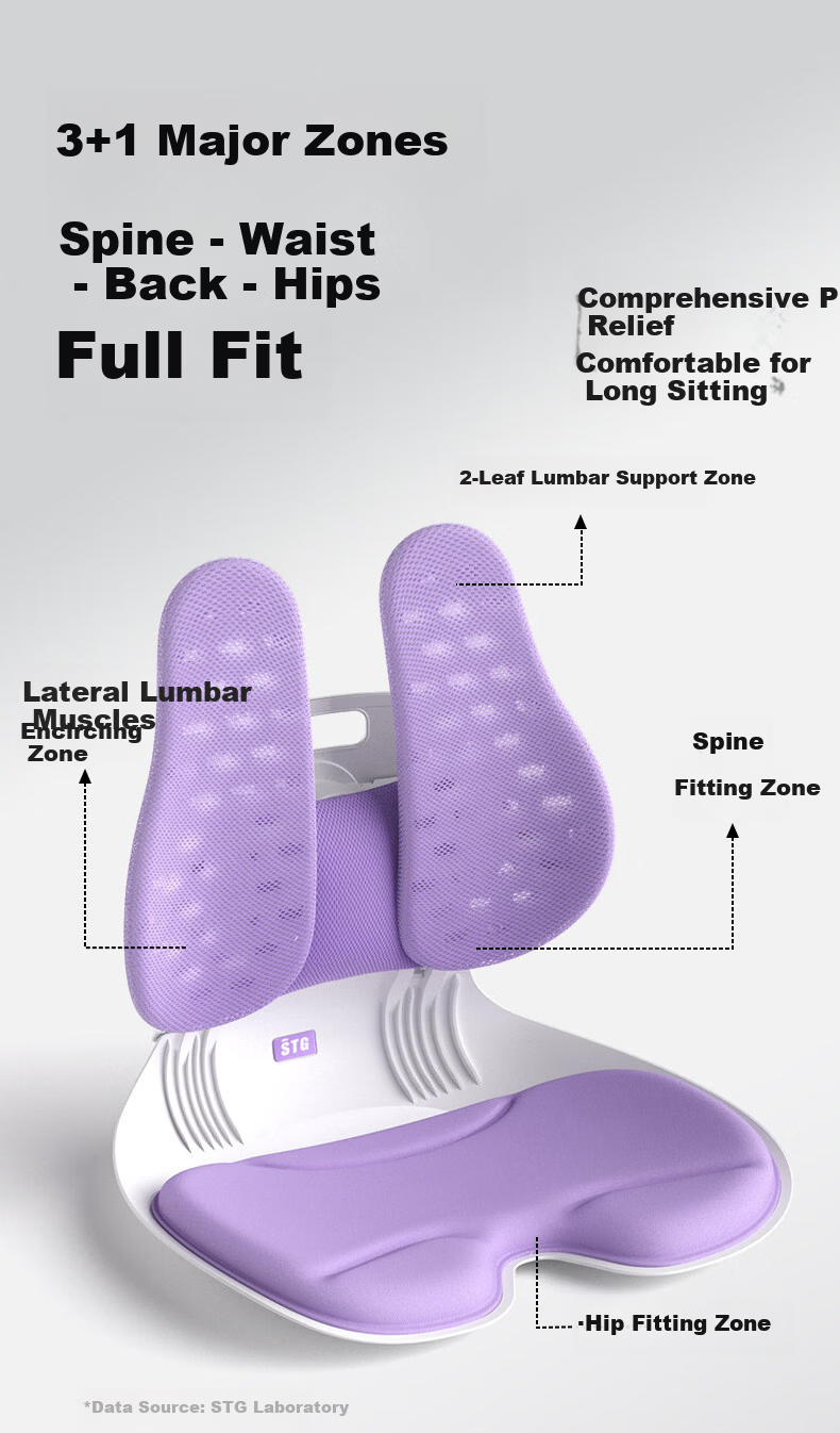 SITGOOD Lumbar Support Seat Back Cushion Waist Pillow Posture Chair Lumbar Cushion STG Seat Cushion Pillow Gift Office Lumbar Support Cushion 23