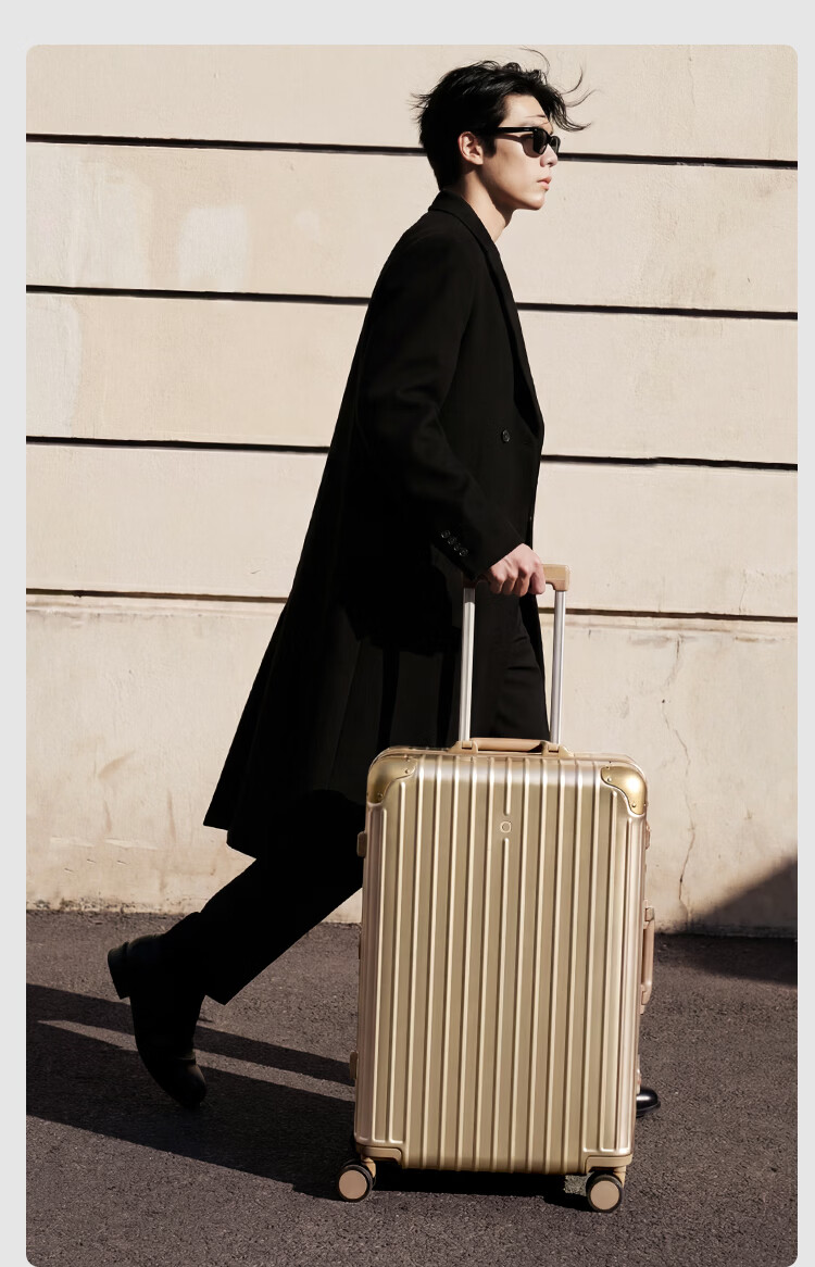 JD Jingzao "Interstellar" Slim Aluminum Frame Luggage Large Capacity Carry-On Durable High-Value Frost Moon Silver 20 Inch 15