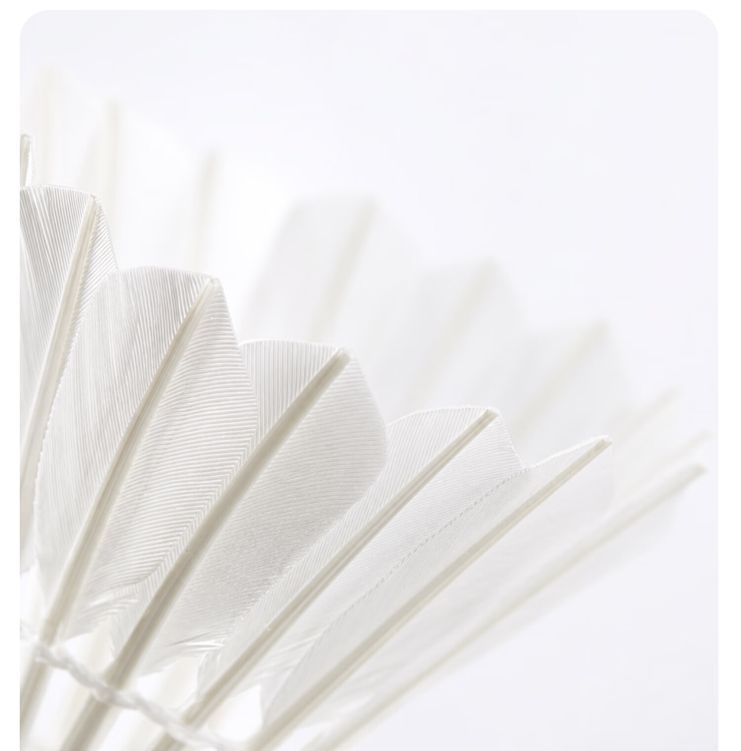 KAWASAKI Badminton Feather Shuttlecocks 12-Pack Durable Stable Aurora Shuttlecock 8