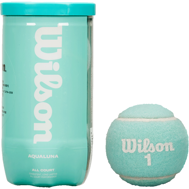 Wilson 2025 New Color Pack Canned Tennis Balls 2-Pack Robin Blue