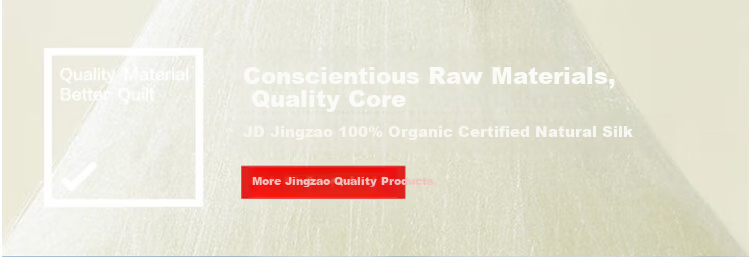 JD Jingzao Changbai Snow 100% Natural Silk Spring and Autumn Quilt - 220*240cm 1