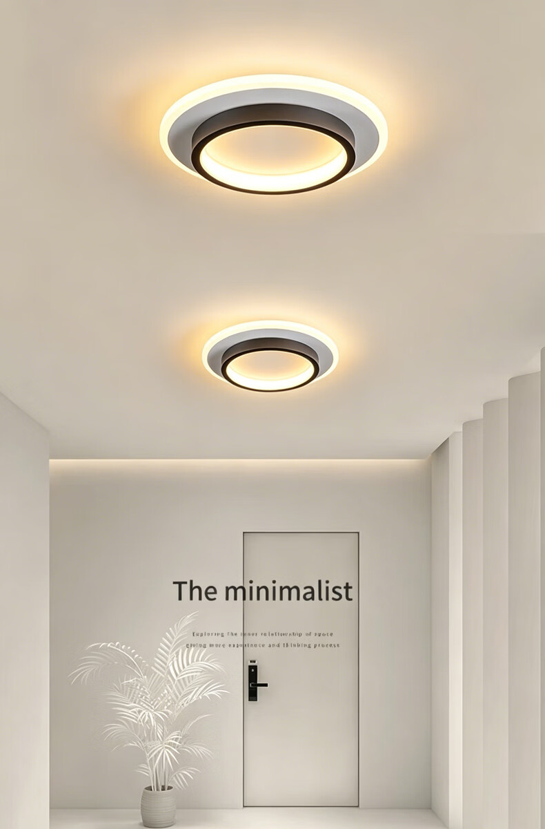 Dengling Ultra-thin LED Corridor Ceiling Light Modern Minimalist Nordic Cloakroom Popular Entrance Balcony Hallway Light 1