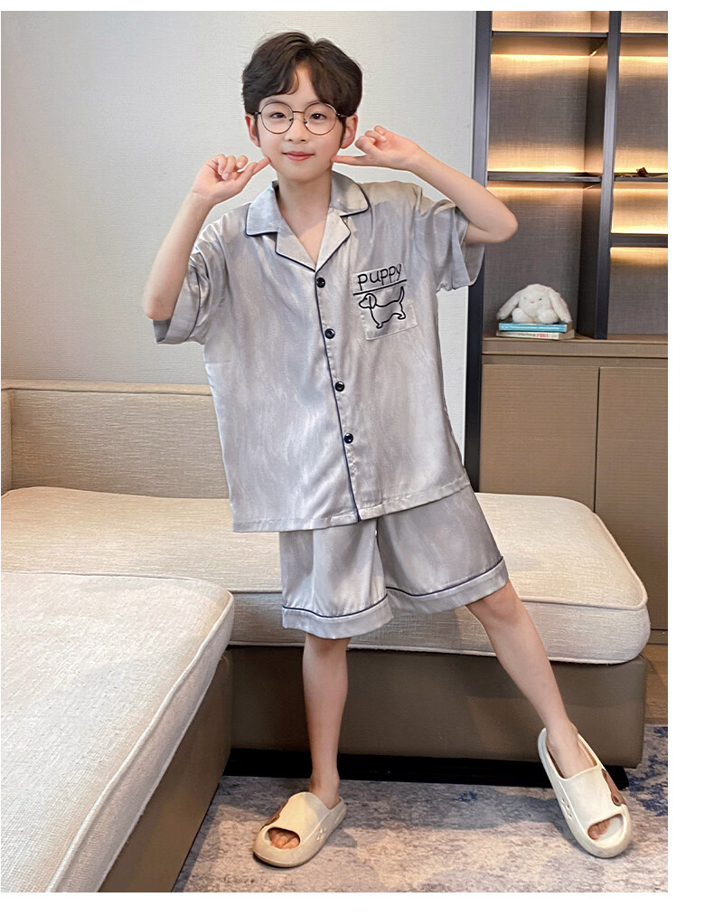 Langsha Children's Pajamas Boys Youth Summer Thin Lightweight Ice Silk Short Sleeve Two-Piece Homewear 2026 New Model 9