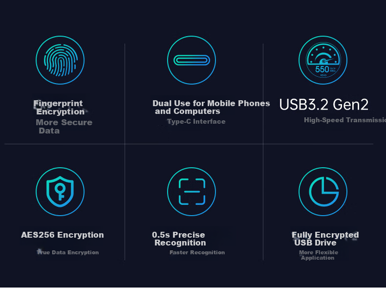 FANXIANG Solid State USB Drive 512GB USB 3.2 Type-C Fingerprint Encrypted High-Speed Flash Drive Mobile SSD FP651 Champagne Silver 2
