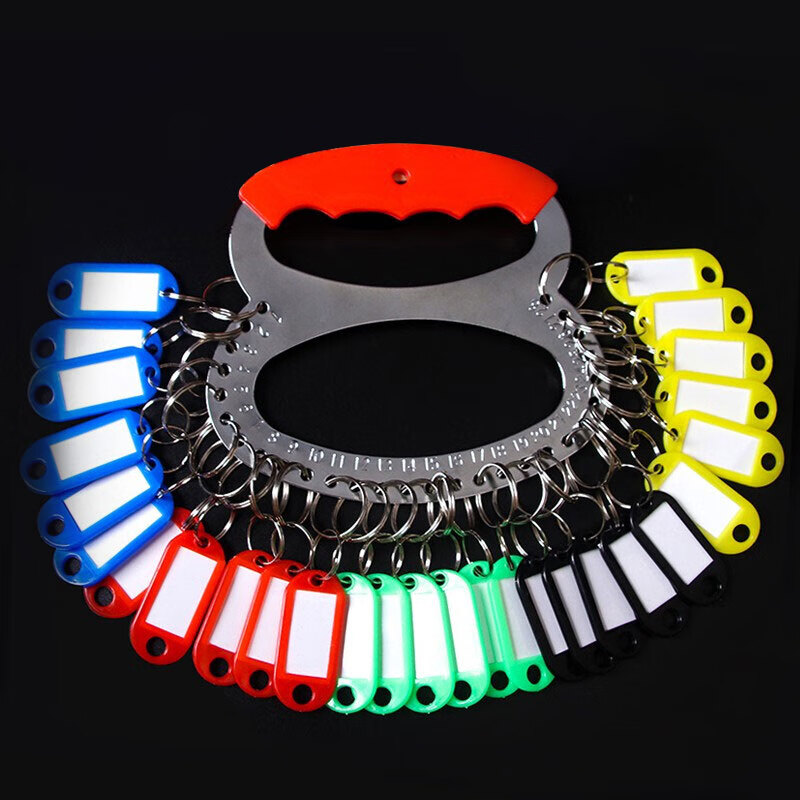 TaTanice Key Ring, Key Storage And Management Accessories, Key Holder with Rings, Key Chain with Marking, Dorm Handheld Metal Key Management Tag, 28 Slots with Marking Plate