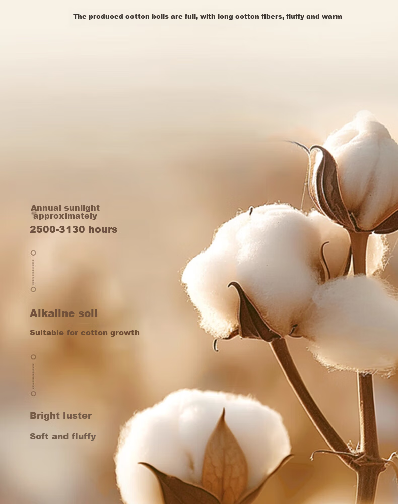 Ran Brand 100% Cotton Quilt A-Class Air Conditioning Quilt Pure Cotton Quilt Spring and Autumn Quilt Approx. 3.2 Jin 150x200cm 4