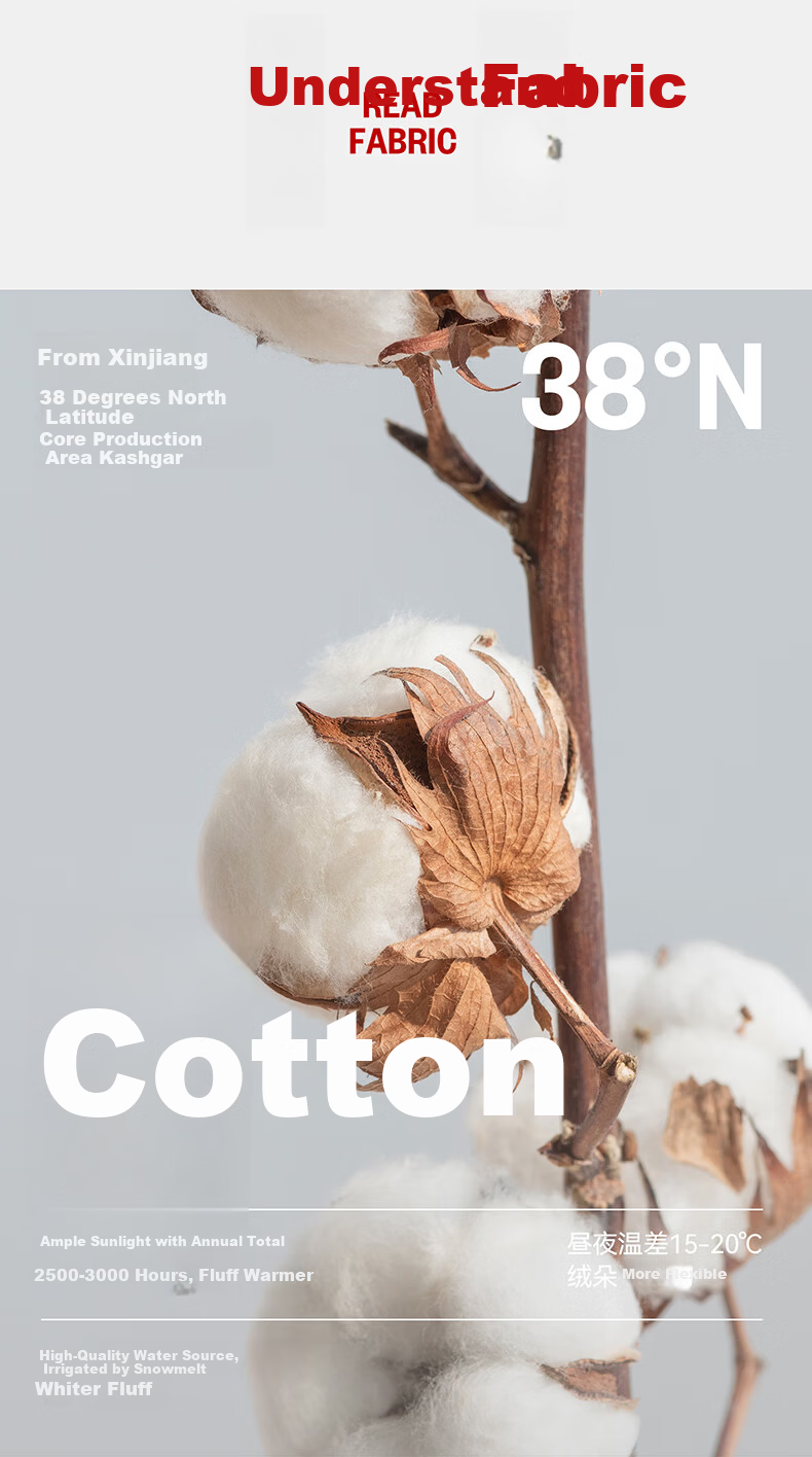 Threegun [7A Original Yarn Antibacterial] Pure Cotton Ribbed Stretch Vest Women's Basic Breathable Crew Neck Shirt 2-Pack 4