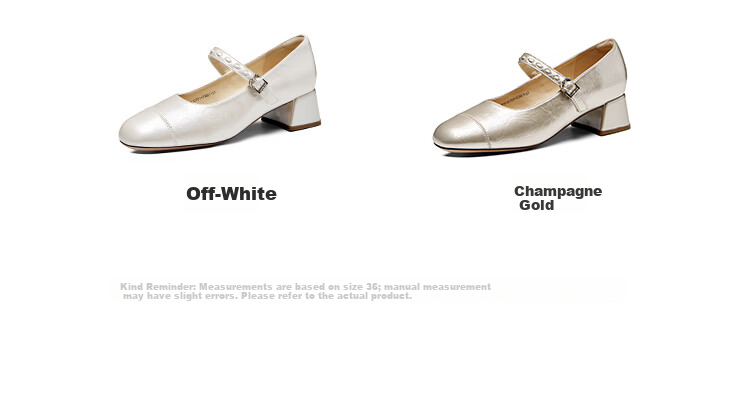 Zhuoshini Women's French Mary Jane Shoes 2026 Spring New Thick Heel Elegant Skirt Matching Low-Cut Flats Off-White Size 38 9