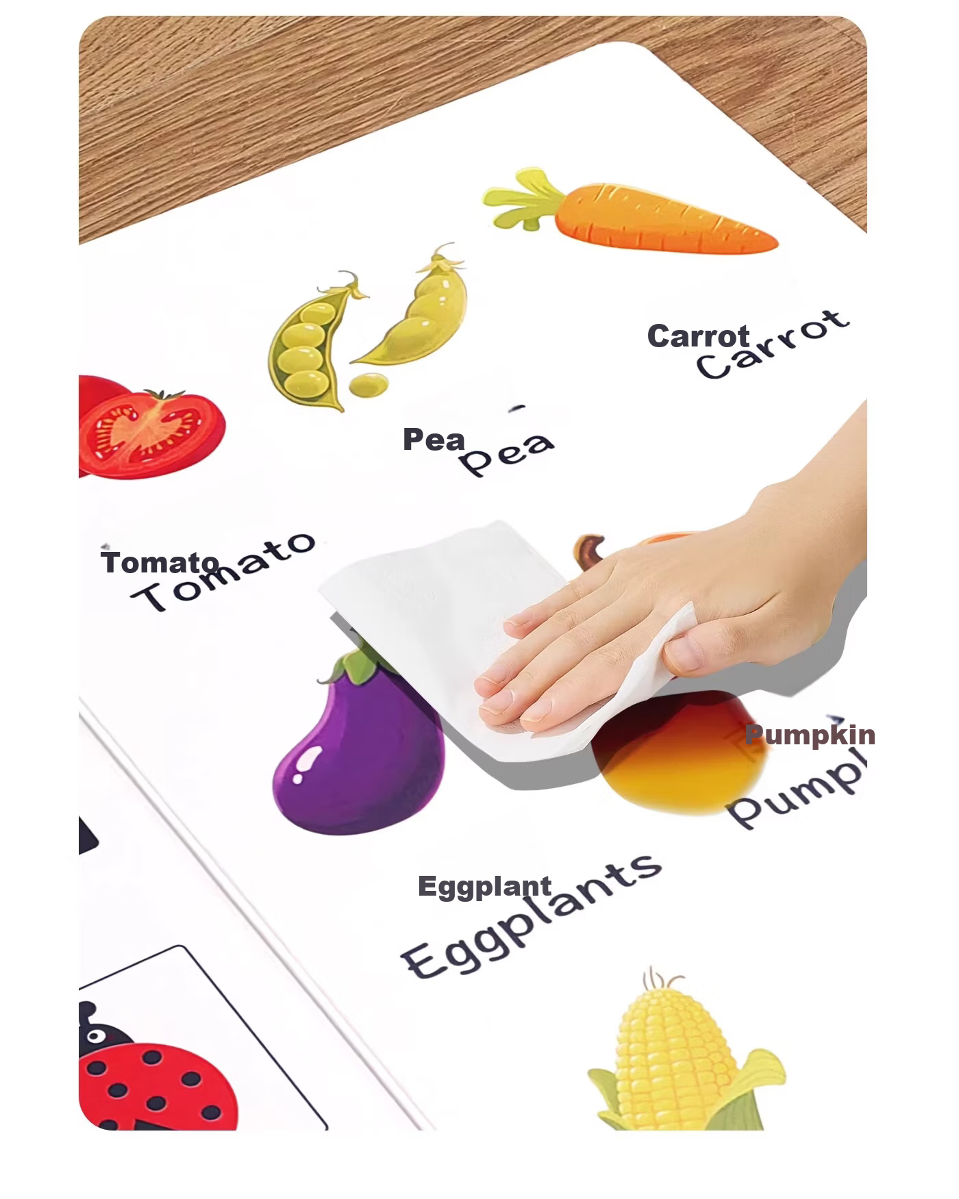 Licheers Baby Cognitive Cards Folding Montessori Early Education Educational Toy First Birthday Gift Infant Learning Tool 3D Word Book 9