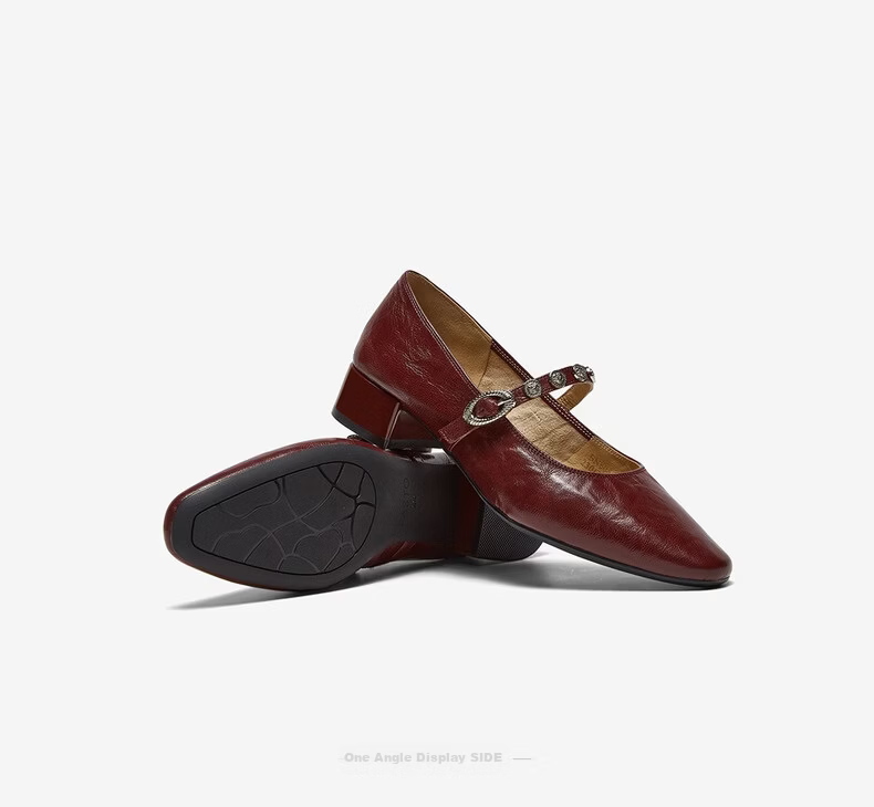 BASTO Monet Garden Spring 2026 French Style Lambskin Mary Jane Shoes for Women, Burgundy, Size 39, Model BN805AQ6 12