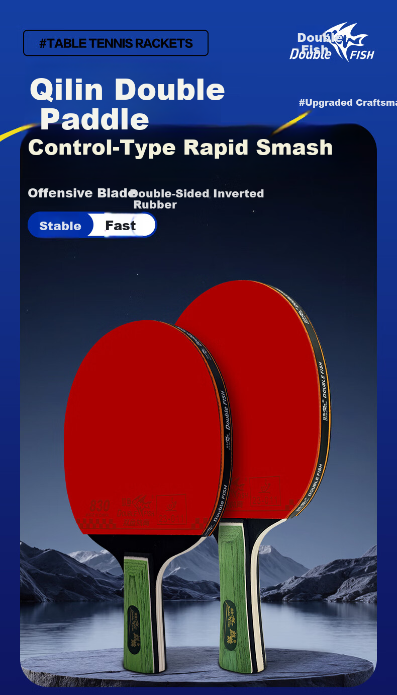 DOUBLE FISH Nine Star Table Tennis Racket Beginner Training Student Youth High Elasticity Sponge Rubber Competition Table Tennis Paddle 1