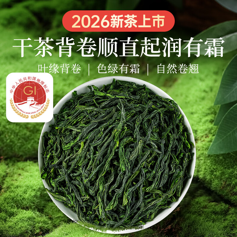 贡苑绿茶2026新茶 六安瓜片250g高山头采春茶正宗安徽散装茶叶自己喝