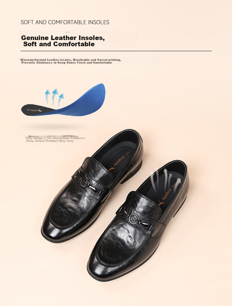 Red Dragonfly Men's Business Leather Breathable Soft Sole Formal Slip-On Loafers WLA350621 Black Size 42 5