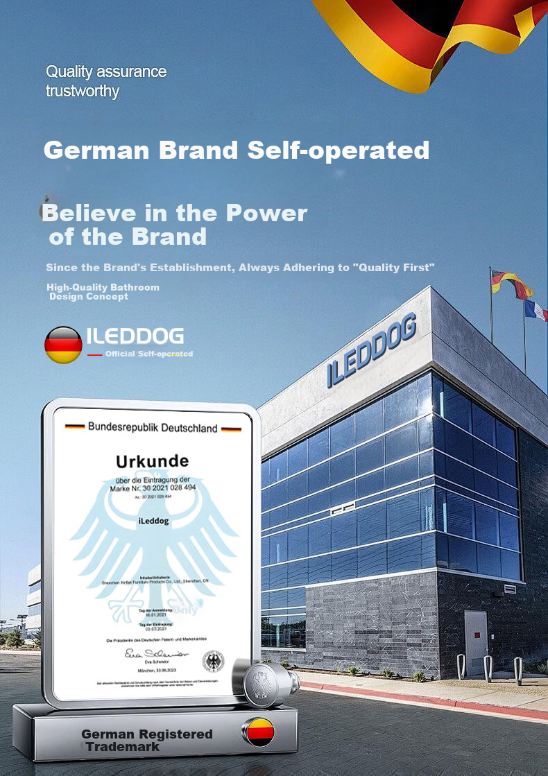 ILeddog [Germany] High-Pressure Shower Head Space Aluminum Handheld Bathroom Shower JS Handheld 1