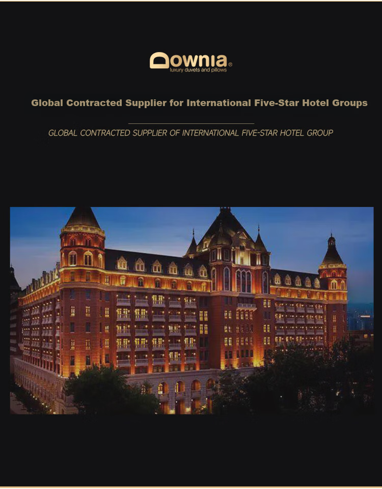 Downia JW Five-Star Hotel White Goose Down Pillow 90% White Goose Down Luxury Pillow 74*48CM 4