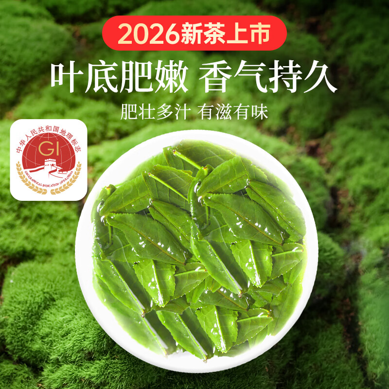 贡苑绿茶2026新茶 六安瓜片250g高山头采春茶正宗安徽散装茶叶自己喝