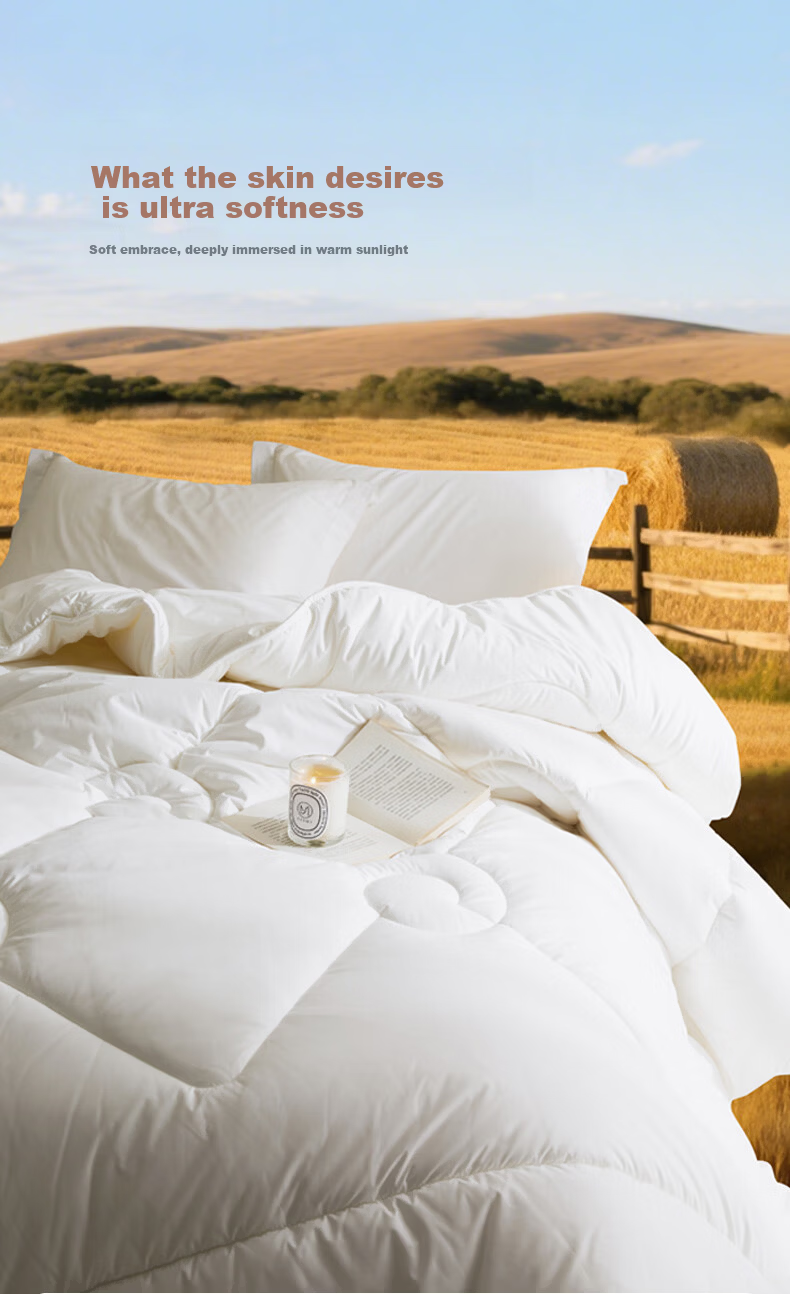 LUOLAI Home Textile Wool Quilt 100% Australian Wool A-Class Antibacterial Warm Four-Season Quilt Core Approx. 5.8 Jin 3