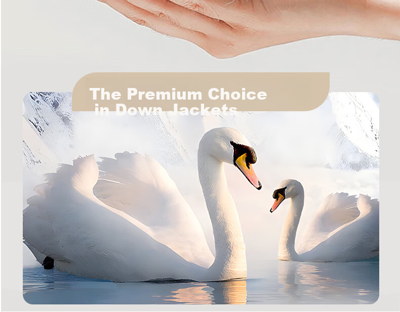 SHANSHAN Detachable Hood Goose Down Men's Warm Thick Casual Removable Liner Dad Jacket 7