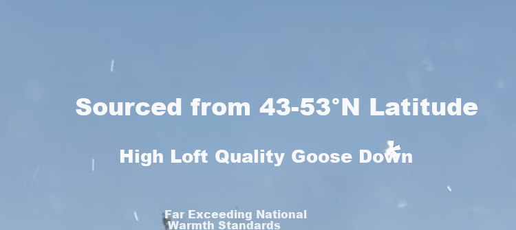 BOSIDENG Extreme Cold Goose Down Jacket Unisex Couple Thickened Long Winter Coat with Large Fur Collar 14