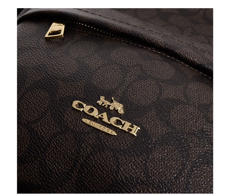 COACH Women's TAYLOR Backpack Walnut Brown 11