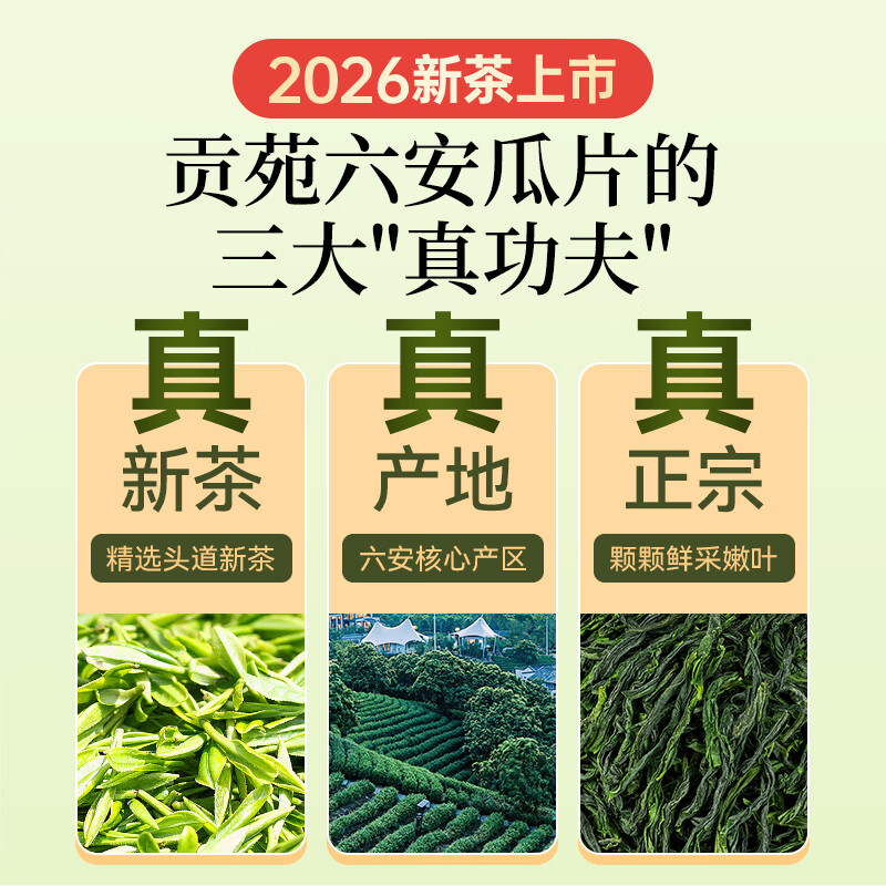贡苑绿茶2026新茶 六安瓜片250g高山头采春茶正宗安徽散装茶叶自己喝