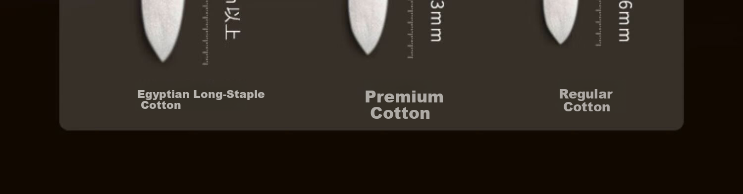 Kang'erxin Egyptian Cotton 4-Piece Set Pure Cotton Luxury Bedding 100-Thread Count Fitted Sheet Style Sky White 1.5m Bed 10