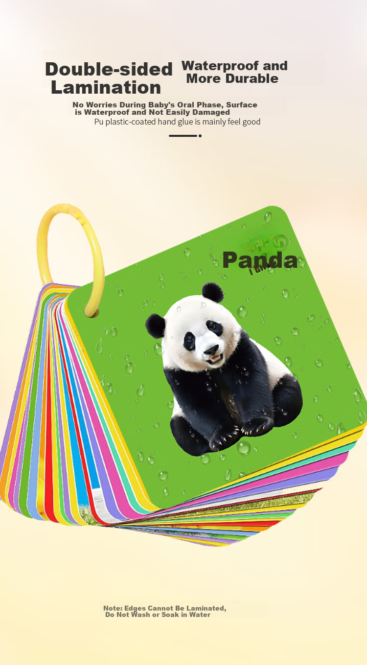 Danmiqi Early Education Cognitive Cards for Toddlers 0-6 Years Old Baby Picture Word Recognition Fruit and Number Task Cards Toy 3