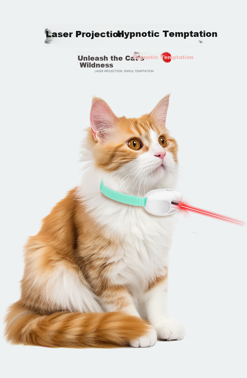 MOTIE M603 Cat Teaser Laser Pointer, Cat Toy Wand, Infrared Multi-Pattern Laser Light, Portable Self-Entertaining Cat Toy, Engineering And Industrial Special Use 3